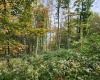 37 Rocky Road, Harman, West Virginia 26270, ,Lots/land,For Sale,Rocky,10161646