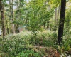 37 Rocky Road, Harman, West Virginia 26270, ,Lots/land,For Sale,Rocky,10161646