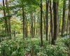 37 Rocky Road, Harman, West Virginia 26270, ,Lots/land,For Sale,Rocky,10161646
