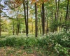 37 Rocky Road, Harman, West Virginia 26270, ,Lots/land,For Sale,Rocky,10161646