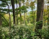 37 Rocky Road, Harman, West Virginia 26270, ,Lots/land,For Sale,Rocky,10161646