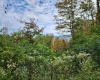 37 Rocky Road, Harman, West Virginia 26270, ,Lots/land,For Sale,Rocky,10161646