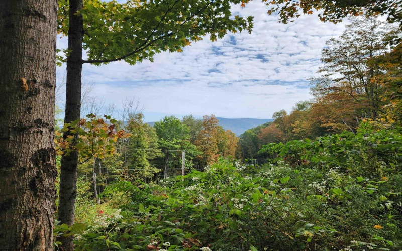 37 Rocky Road, Harman, West Virginia 26270, ,Lots/land,For Sale,Rocky,10161646