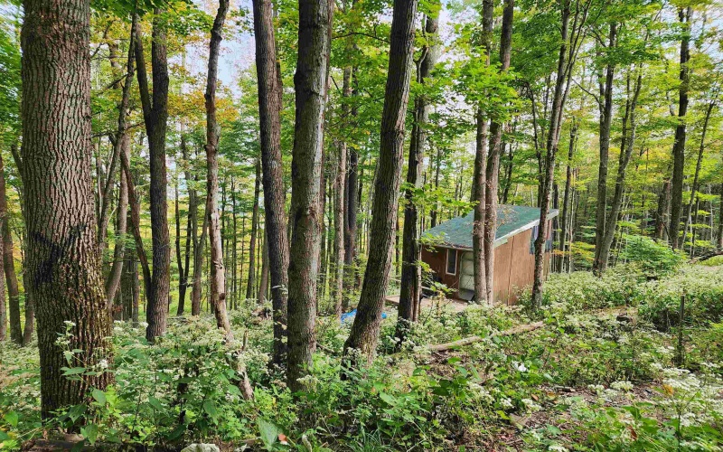 37 Rocky Road, Harman, West Virginia 26270, ,Lots/land,For Sale,Rocky,10161646
