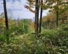 37 Rocky Road, Harman, West Virginia 26270, ,Lots/land,For Sale,Rocky,10161646