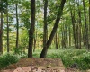 37 Rocky Road, Harman, West Virginia 26270, ,Lots/land,For Sale,Rocky,10161646