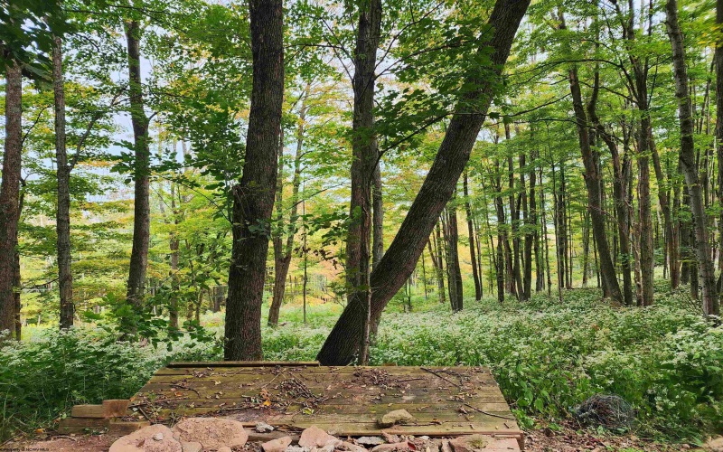 37 Rocky Road, Harman, West Virginia 26270, ,Lots/land,For Sale,Rocky,10161646