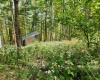37 Rocky Road, Harman, West Virginia 26270, ,Lots/land,For Sale,Rocky,10161646