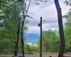 37 Rocky Road, Harman, West Virginia 26270, ,Lots/land,For Sale,Rocky,10161646