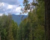 37 Rocky Road, Harman, West Virginia 26270, ,Lots/land,For Sale,Rocky,10161646