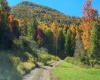 37 Rocky Road, Harman, West Virginia 26270, ,Lots/land,For Sale,Rocky,10161646