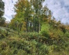 37 Rocky Road, Harman, West Virginia 26270, ,Lots/land,For Sale,Rocky,10161646