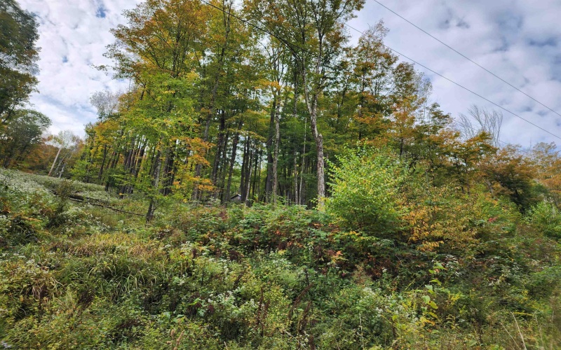 37 Rocky Road, Harman, West Virginia 26270, ,Lots/land,For Sale,Rocky,10161646