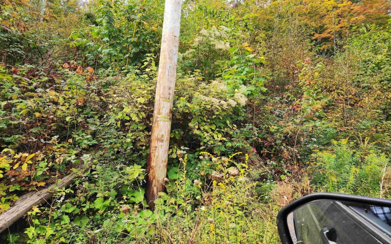37 Rocky Road, Harman, West Virginia 26270, ,Lots/land,For Sale,Rocky,10161646