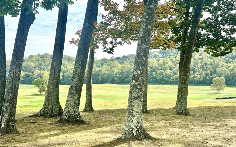 206 Aaron Smith Drive, Bridgeport, West Virginia 26330, 3 Bedrooms Bedrooms, 5 Rooms Rooms,3 BathroomsBathrooms,Single Family Attached,For Sale,Aaron Smith,10161660