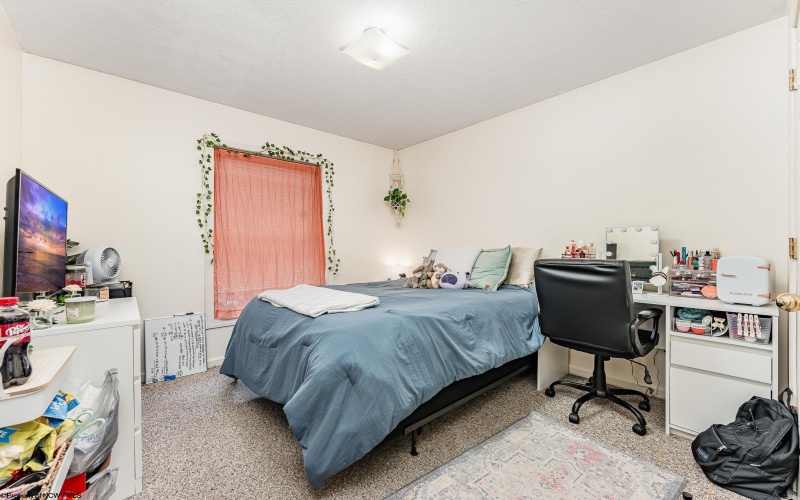 316-340 Willey Street, Morgantown, West Virginia 26505, ,Multi-unit/income,For Sale,Willey,10161654