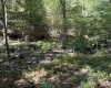 Lot 2 Possum Hollow Road, Terra Alta, West Virginia 26764, ,Lots/land,For Sale,Possum Hollow,10161671