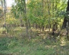 3039 Earl L Core Road, Morgantown, West Virginia 26508, ,Lots/land,For Sale,Earl L Core,10161668