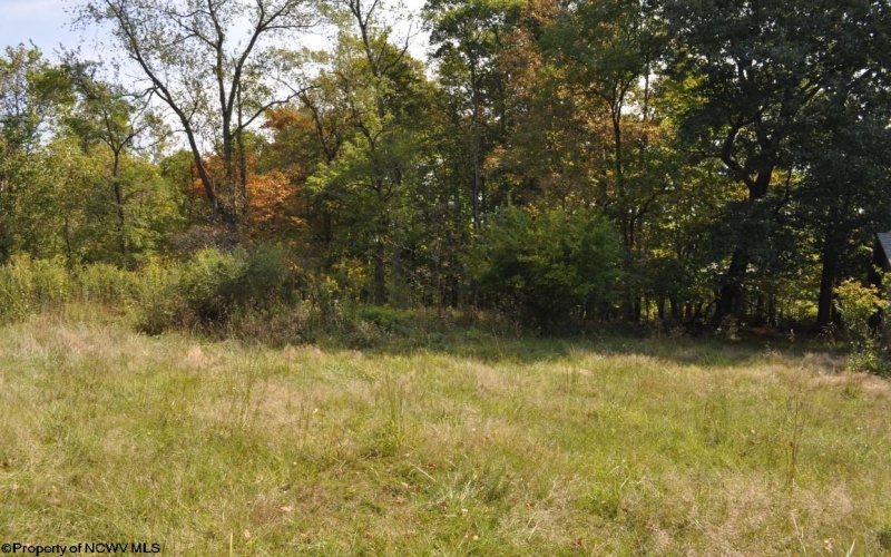 3039 Earl L Core Road, Morgantown, West Virginia 26508, ,Lots/land,For Sale,Earl L Core,10161668