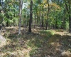 3039 Earl L Core Road, Morgantown, West Virginia 26508, ,Lots/land,For Sale,Earl L Core,10161668