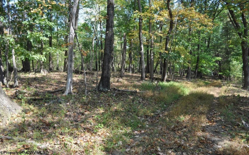 3039 Earl L Core Road, Morgantown, West Virginia 26508, ,Lots/land,For Sale,Earl L Core,10161668