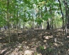 3039 Earl L Core Road, Morgantown, West Virginia 26508, ,Lots/land,For Sale,Earl L Core,10161668