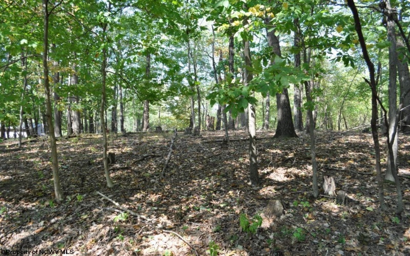 3039 Earl L Core Road, Morgantown, West Virginia 26508, ,Lots/land,For Sale,Earl L Core,10161668