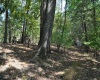 3039 Earl L Core Road, Morgantown, West Virginia 26508, ,Lots/land,For Sale,Earl L Core,10161668