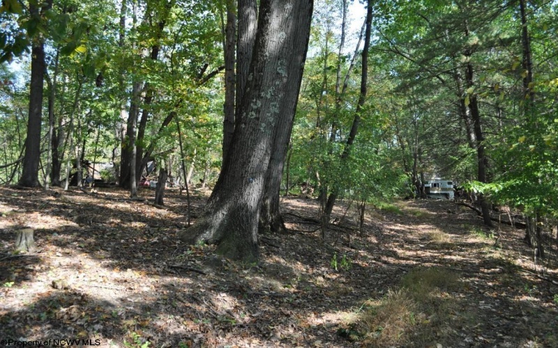 3039 Earl L Core Road, Morgantown, West Virginia 26508, ,Lots/land,For Sale,Earl L Core,10161668