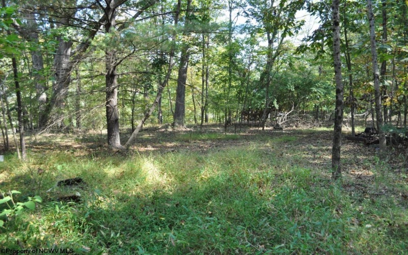 3039 Earl L Core Road, Morgantown, West Virginia 26508, ,Lots/land,For Sale,Earl L Core,10161668