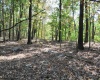 3039 Earl L Core Road, Morgantown, West Virginia 26508, ,Lots/land,For Sale,Earl L Core,10161668