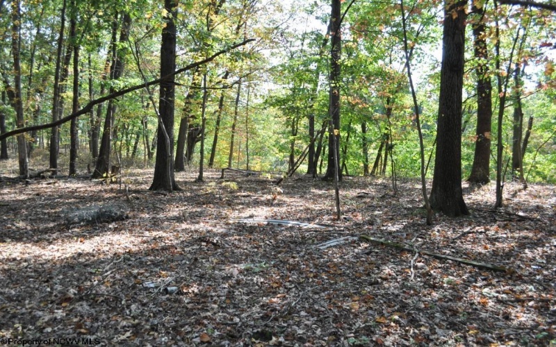 3039 Earl L Core Road, Morgantown, West Virginia 26508, ,Lots/land,For Sale,Earl L Core,10161668