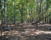 3039 Earl L Core Road, Morgantown, West Virginia 26508, ,Lots/land,For Sale,Earl L Core,10161668