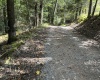 TBD Copper Head Road, Terra Alta, West Virginia 26764, ,Lots/land,For Sale,Copper Head,10161664