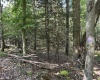 TBD Copper Head Road, Terra Alta, West Virginia 26764, ,Lots/land,For Sale,Copper Head,10161664