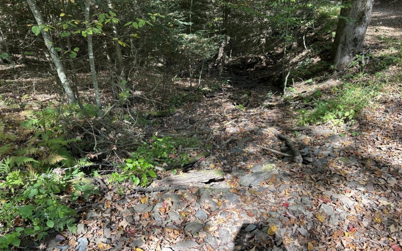 TBD Copper Head Road, Terra Alta, West Virginia 26764, ,Lots/land,For Sale,Copper Head,10161664