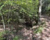 TBD Copper Head Road, Terra Alta, West Virginia 26764, ,Lots/land,For Sale,Copper Head,10161664