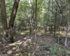 TBD Copper Head Road, Terra Alta, West Virginia 26764, ,Lots/land,For Sale,Copper Head,10161664