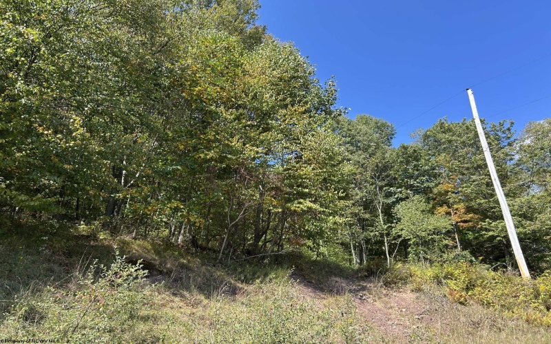 Lot 1 Possum Hollow Road, Terra Alta, West Virginia 26764, ,Lots/land,For Sale,Possum Hollow,10161670