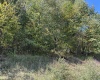 Lot 1 Possum Hollow Road, Terra Alta, West Virginia 26764, ,Lots/land,For Sale,Possum Hollow,10161670