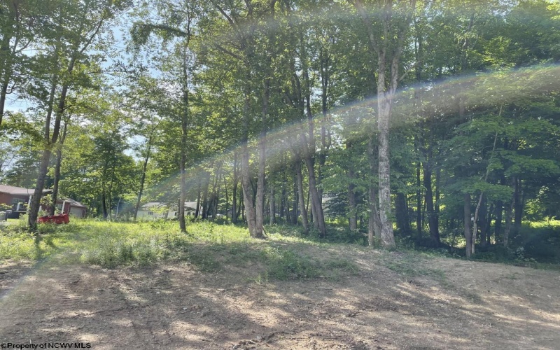 Lot 1 Kimberly Lane, Kingwood, West Virginia 26537, ,Lots/land,For Sale,Kimberly,10144368