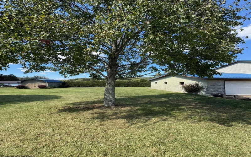 68 Crescent Avenue, Buckhannon, West Virginia 26201, 4 Bedrooms Bedrooms, 13 Rooms Rooms,1 BathroomBathrooms,Single Family Detached,For Sale,Crescent,10161678