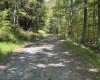 Lot 3 Possum Hollow Road, Terra Alta, West Virginia 26764, ,Lots/land,For Sale,Possum Hollow,10161683