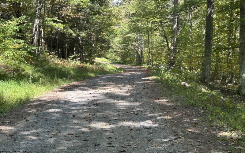 Lot 3 Possum Hollow Road, Terra Alta, West Virginia 26764, ,Lots/land,For Sale,Possum Hollow,10161683