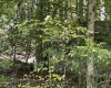 Lot 3 Possum Hollow Road, Terra Alta, West Virginia 26764, ,Lots/land,For Sale,Possum Hollow,10161683