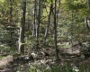 Lot 3 Possum Hollow Road, Terra Alta, West Virginia 26764, ,Lots/land,For Sale,Possum Hollow,10161683