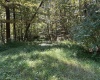 Lot 4 Possum Hollow Road, Terra Alta, West Virginia 26764, ,Lots/land,For Sale,Possum Hollow,10161684