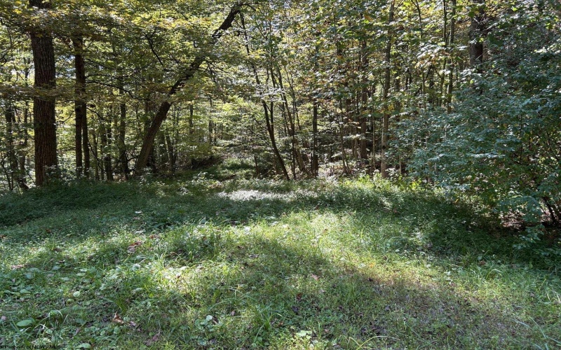 Lot 4 Possum Hollow Road, Terra Alta, West Virginia 26764, ,Lots/land,For Sale,Possum Hollow,10161684