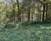 Lot 4 Possum Hollow Road, Terra Alta, West Virginia 26764, ,Lots/land,For Sale,Possum Hollow,10161684