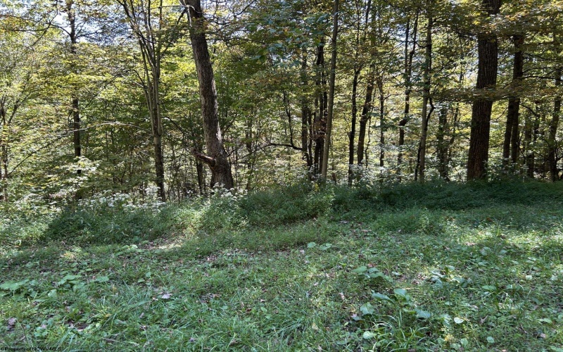 Lot 4 Possum Hollow Road, Terra Alta, West Virginia 26764, ,Lots/land,For Sale,Possum Hollow,10161684